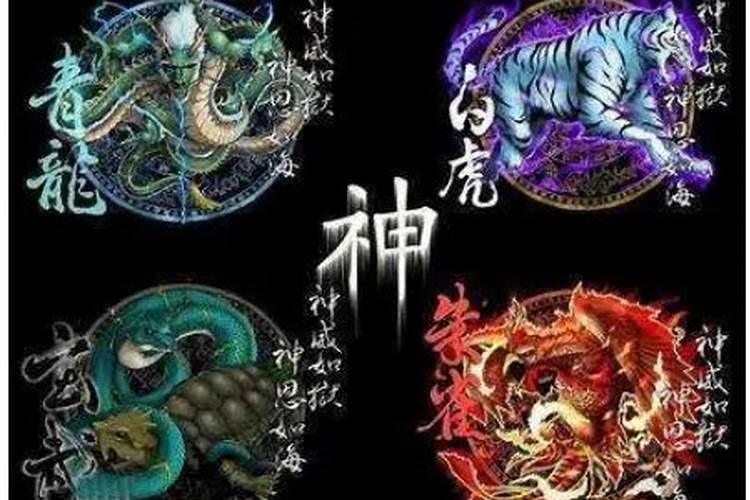 什么样的招财风水布局能发大财