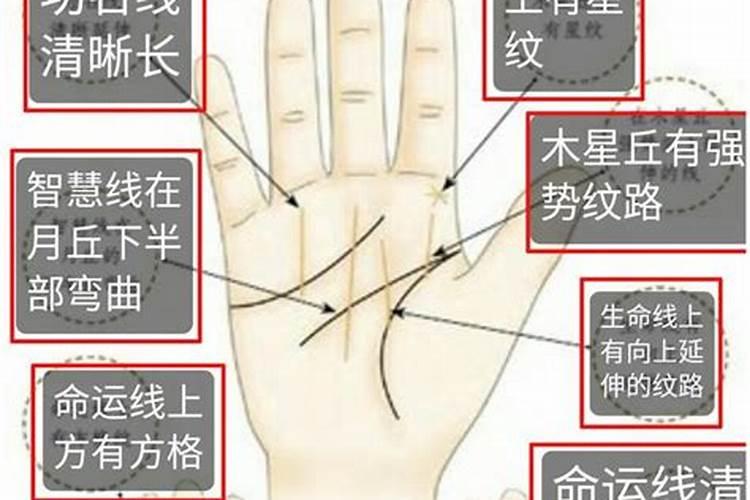 我想问问风水大师,门的左右两边能不能摘橙子树？