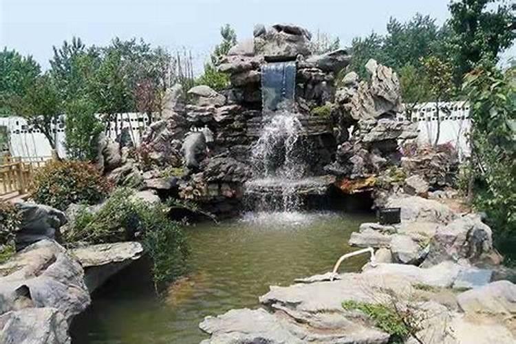 办公桌摆放什么植物风水好 摆放招财树