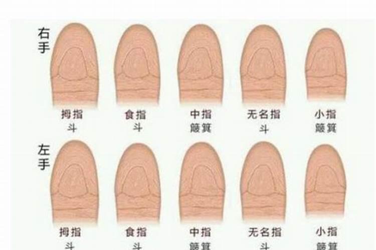 风水罗盘应用经验学