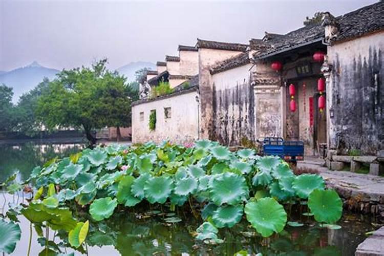 房子坐南朝北西边有坑塘好不好？