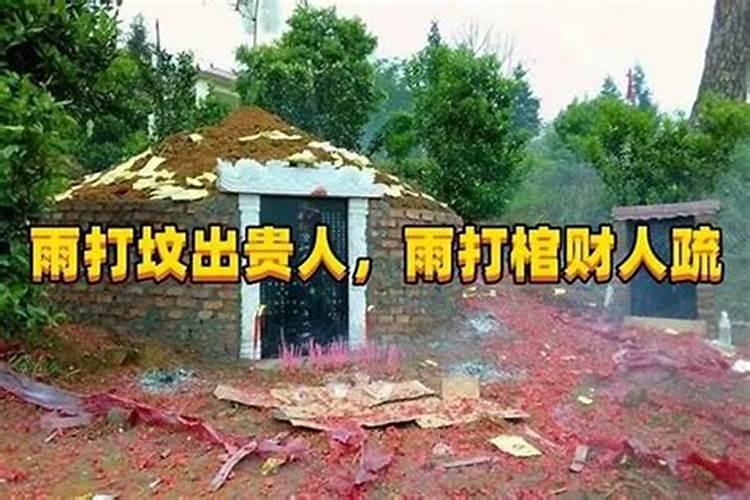 办公室设计布局的常见种类有哪些