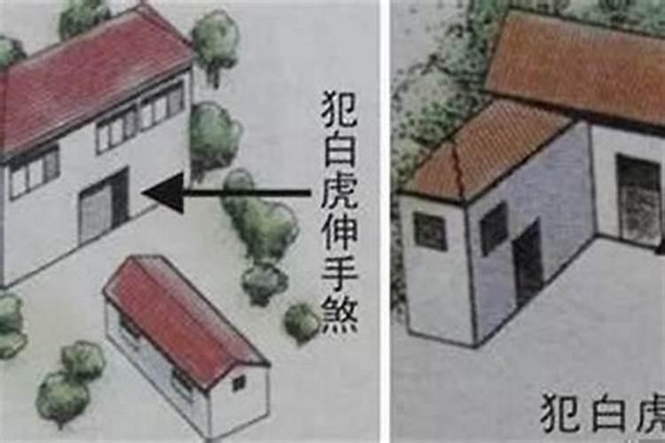 白虎家中如何摆放