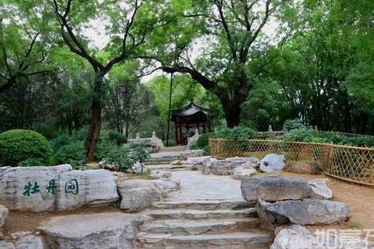 龟形风水宝地出什么人 分析龟形哪个部位风水最佳