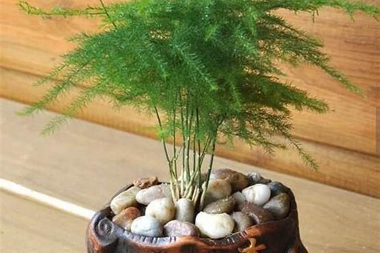 坐西朝东的房子右边有鱼塘风水如何？
