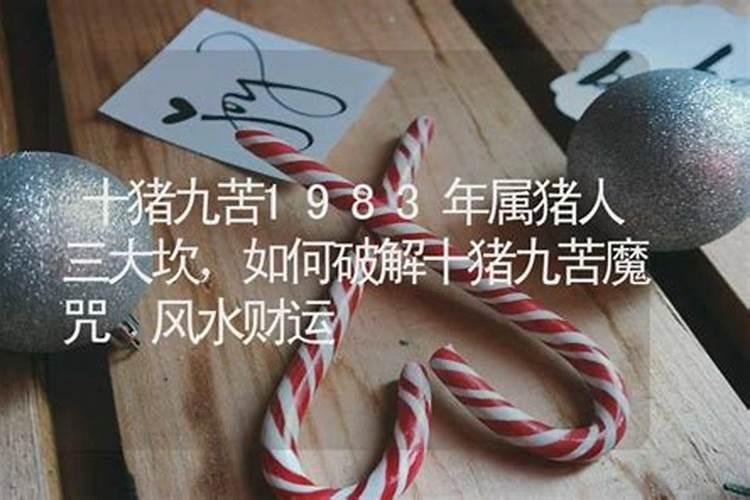 2007年属猪人财运好吗 正财方位在哪？