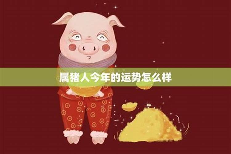 83年属猪女戴什么旺财 83年猪40岁后十年大运运程