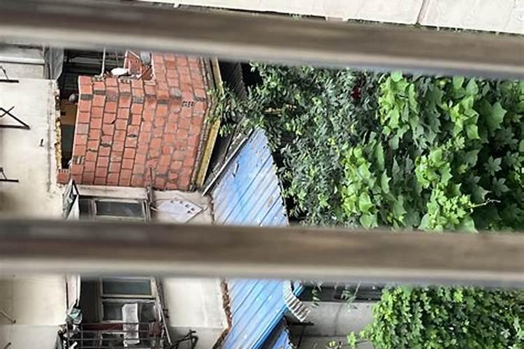 窗外风水影响大运气如何化解