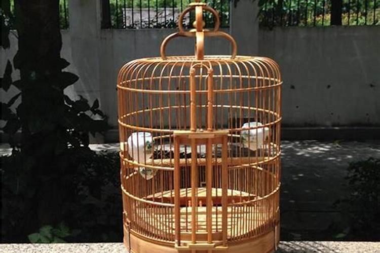 鸟笼放在房间里会影响风水吗？