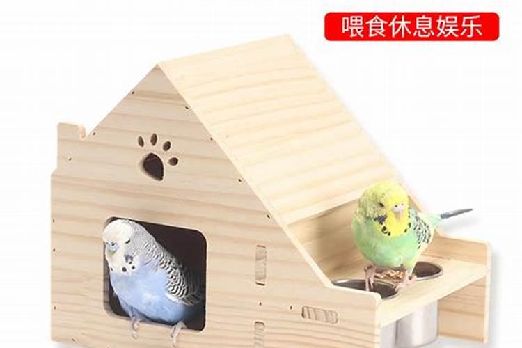 鸟笼放在房间里会影响风水吗？
