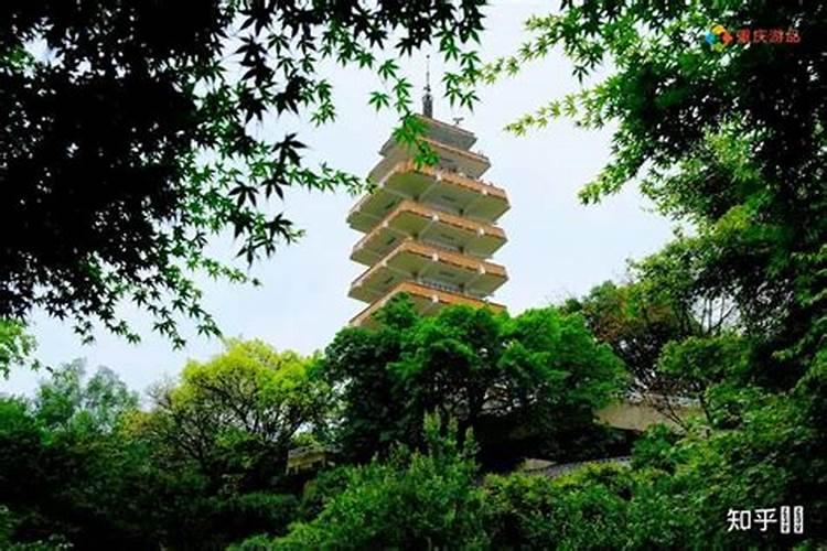 鹅岭峯怎么样？好不好？值不值得买？