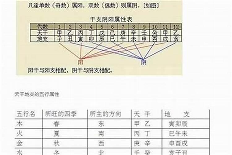 请问四柱八字排盘怎么看