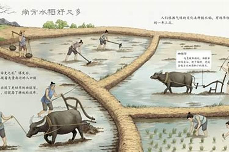 不得不看的祖坟风水禁忌