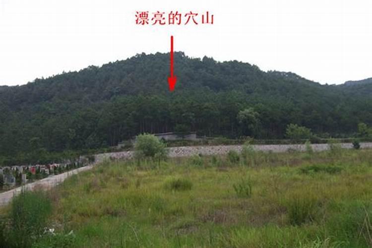 高贵的房子有哪些