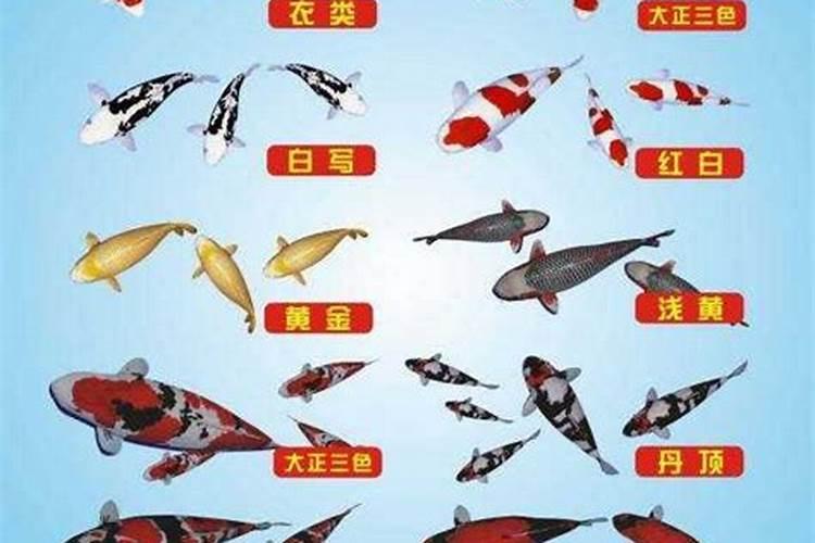 别墅私自挖地下室算不算违建？