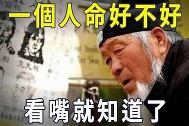 网络公认十大算命高手