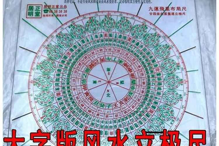 十大适合放在会议室的绿植推荐 会议室放哪十种绿植好