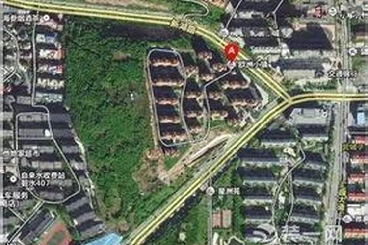 农村林下养猪需要什么手续？