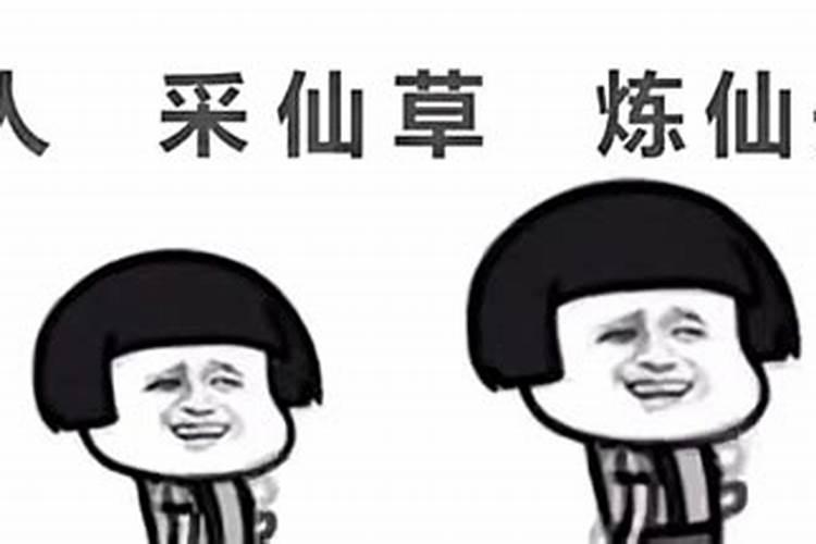 家里养仙人柱风水好吗