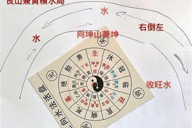 办公室养柳树好吗