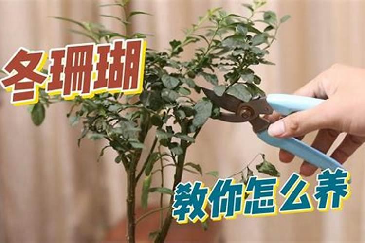 办公用房和住宅区别