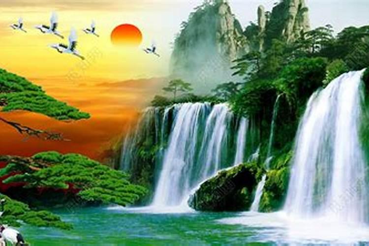 什么汽车风水最旺