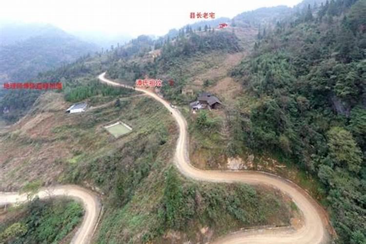 墓边上适合种什么树 墓地旁边栽什么树木最好