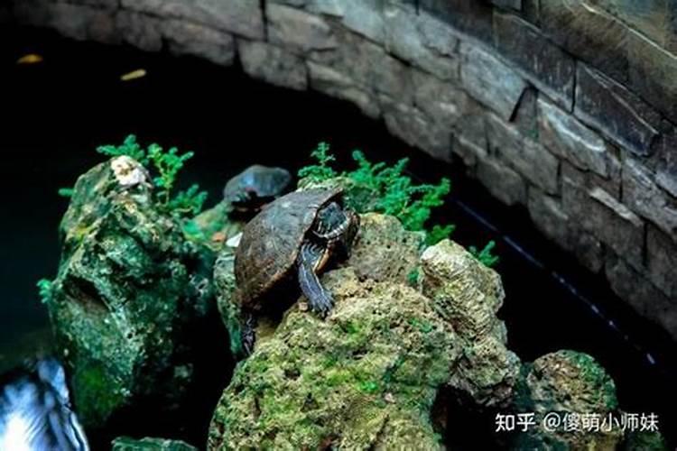 独栋别墅讲究哪些风水？