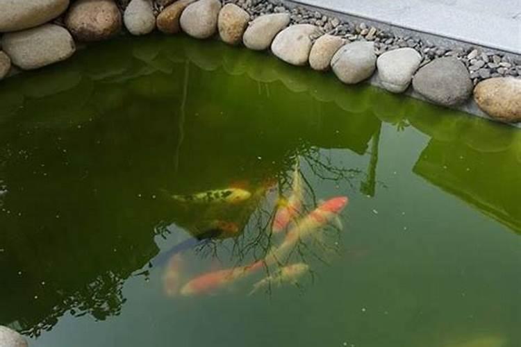 风水轮还可以叫作什么？