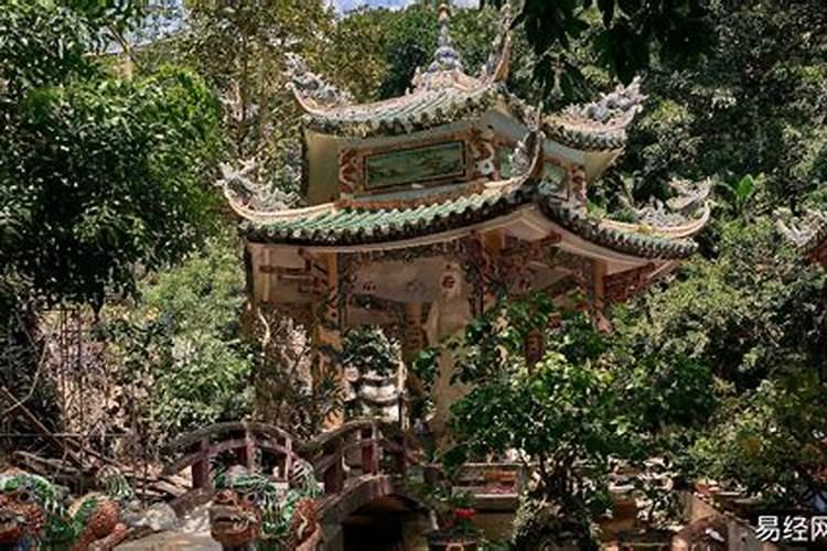 10种公认封闭阳台最好养的花;太阳花在封闭阳台能开花吗