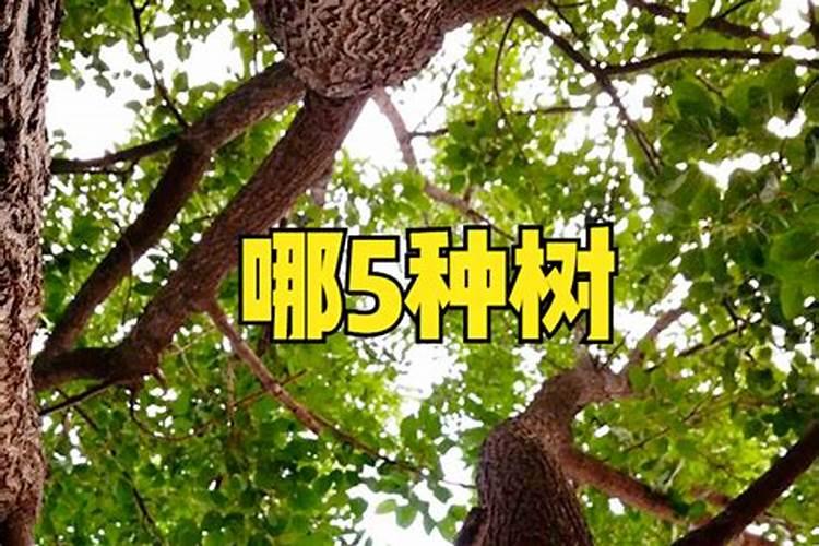 房子前面有条河好吗 房子哪边有河发财？