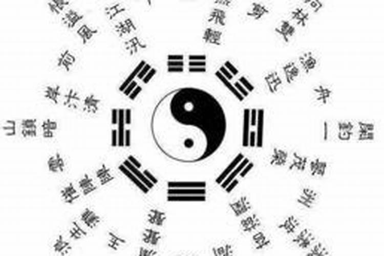 风水故事:五行之中各有精怪,唯有木鬼,情谊深厚