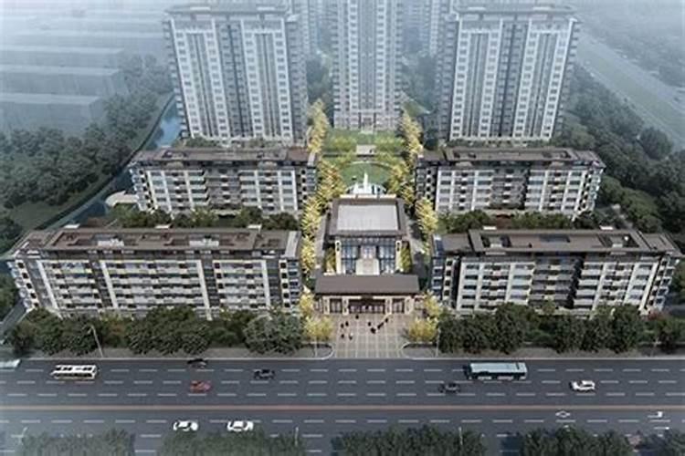 鱼缸放什么花最旺财
