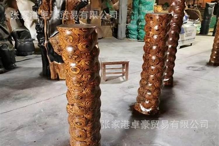 什么鱼好养又招财运呀？