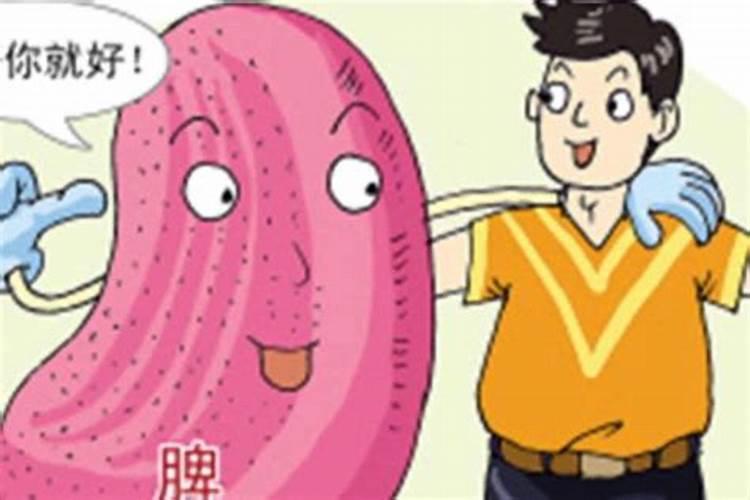 东北方位风水代表什么,住宅风水中东北艮位代表什么？