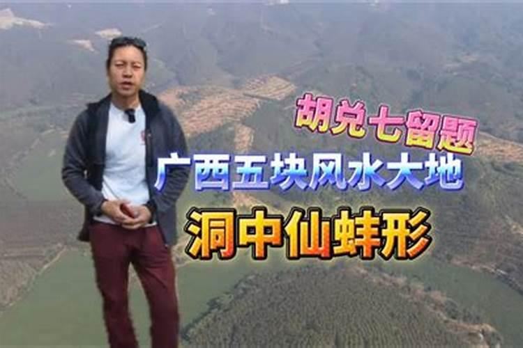 十万大山在哪里