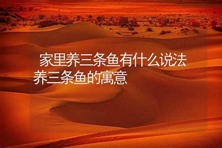 三条鱼代表什么风水