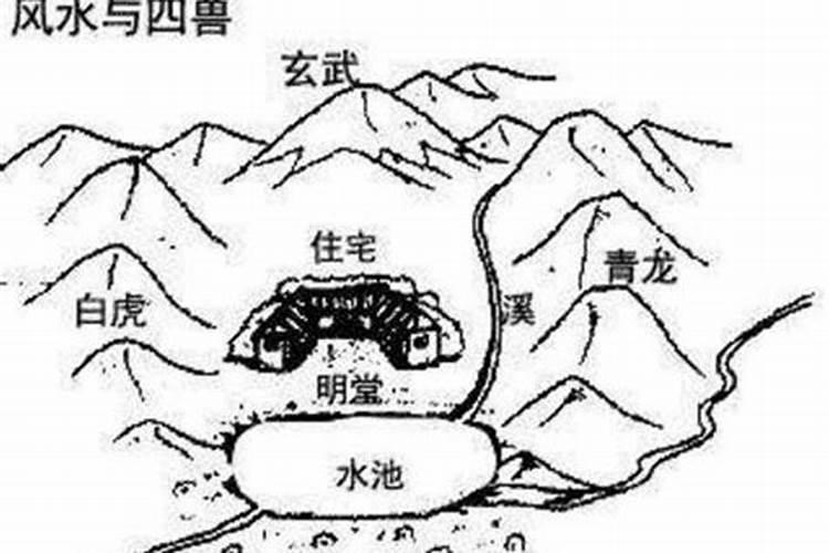 前朱雀后玄武,风水中的朱雀玄武分别是什么意思