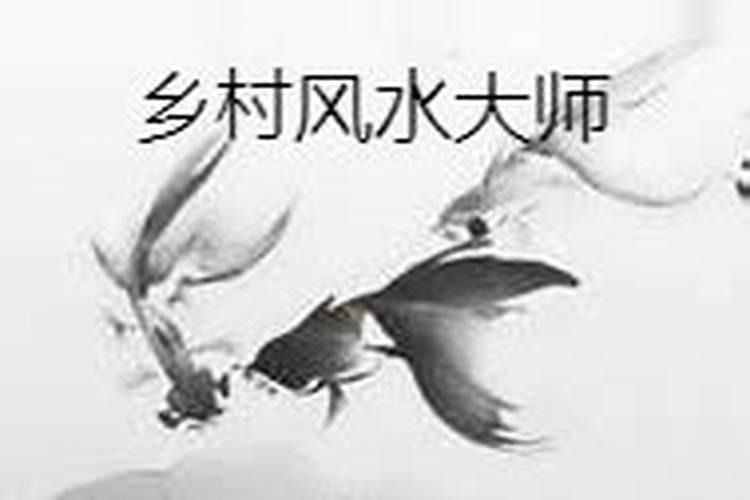 民间网络歌手农村金凤是网红歌手吗