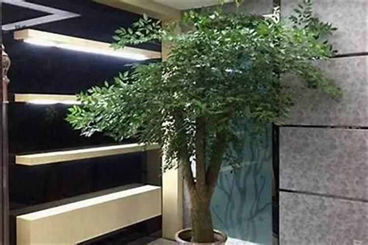 顶楼梯上的空间做卫生间可以吗？