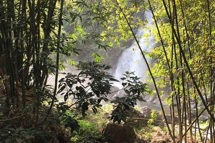 家中南面摆放什么风水好一点 朝南方向摆什么旺财