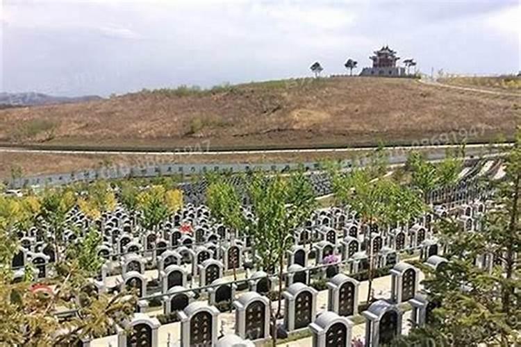 看墓地风水,看墓地风水小诀窍,看墓地风水大概多少钱？