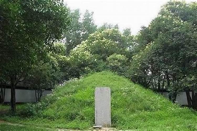 一般墓地种多少棵柏树吉利,坟地种几棵柏树好