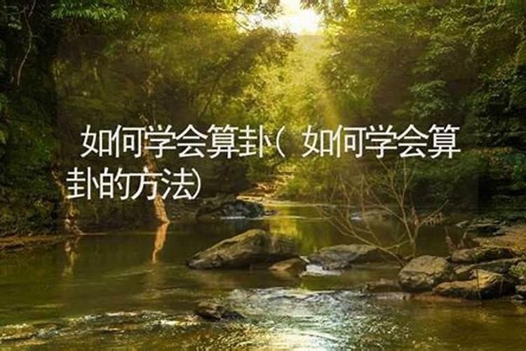 学算卦占卜入门,算卦自学可以学会吗