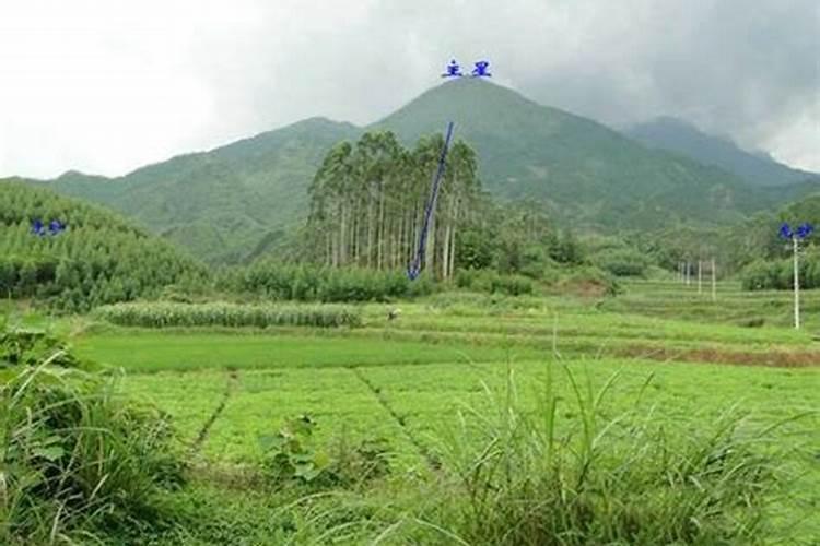 空鱼缸放在家里好不好？