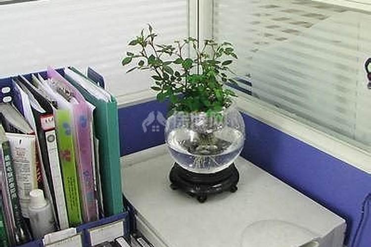 铜葫芦摆放什么最旺财