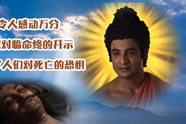 请问佛教中主张算命么？ 如有冒犯请宽恕