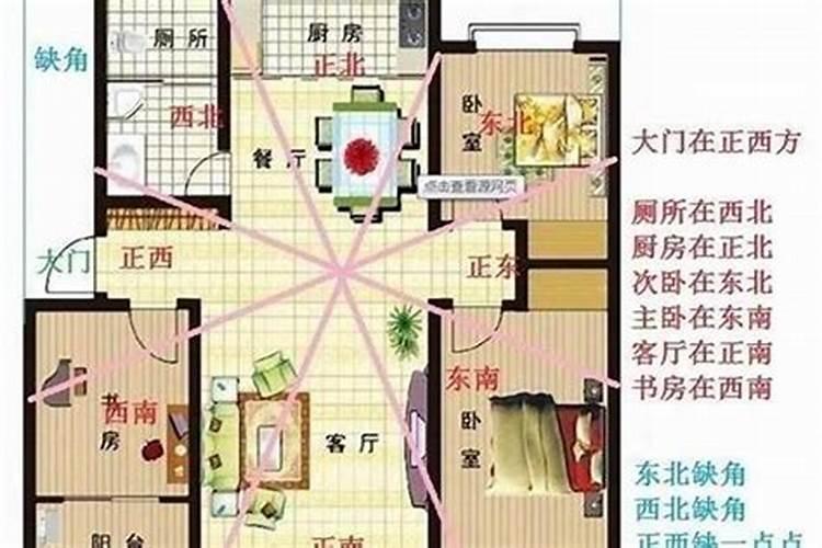 在家养什么最旺宅子好风水
