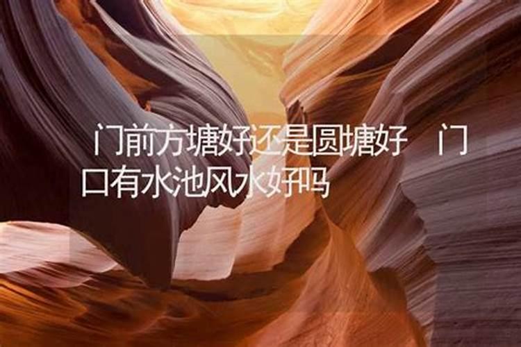 家里养的花都枯萎了,跟风水磁场有关吗