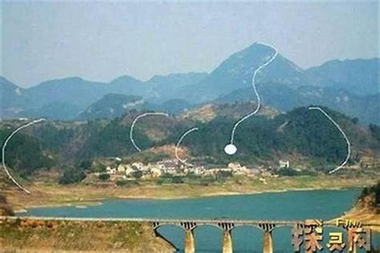 家门放什么盆景风水好